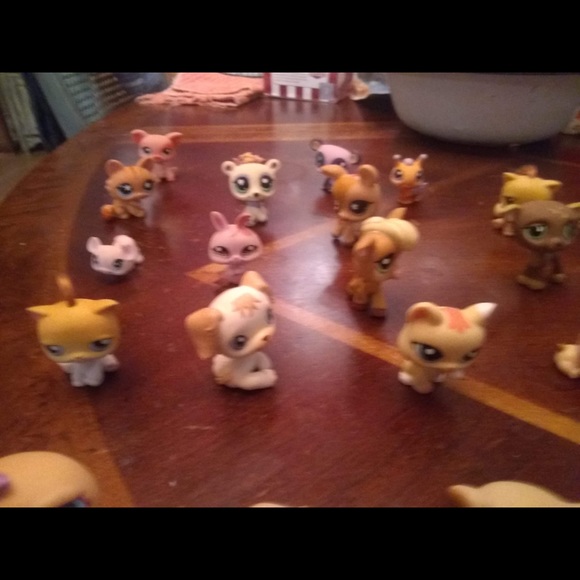 Vintage my little pet shop - Picture 6 of 8